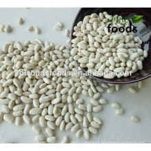 all kinds of white kidney beans,spanish type